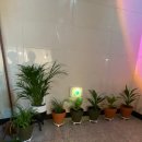 리메이크짐 이미지