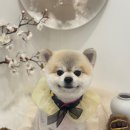 위드뚜뚜 이미지