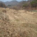 옥산리농로 이미지