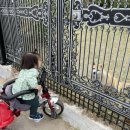 안녕 댕댕아 이미지