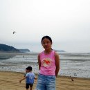 갯벌이야기 이미지