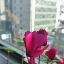 석성화 한의원 이미지