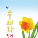 수선화 이미지