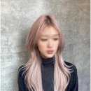 아르결 이미지