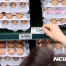 청운축산농장 이미지