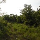 남원읍-60 이미지