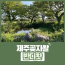평화동-05 | 제주도 여행지 추천, 청수 곶자왈 카페 반디왓