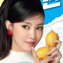 정통닭 네이버블로그