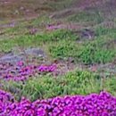 양지로10L 이미지