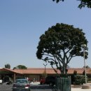 갈보리교회 이미지