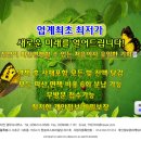 파산 급합니다, 음주 운전 면허 취소건입니다. 이미지