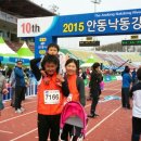 안동시 마라톤대회(5km,10km,하프) 이미지