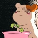 젤루조아