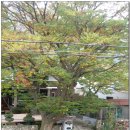 소풍민박 이미지