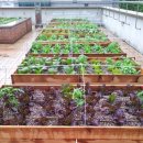 잠실2동주민센터 이미지