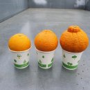 친한농장 이미지