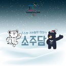 단일코리아
