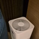 (주)바인터네셔널 | 머큐어 하얼빈 센트럴 스트리트 소피아 처치 후기 + 라오추지아 꿔바로우