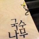 펜타포트국수나무