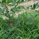 순재농장 이미지