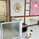 멍머니 2호점 이미지