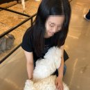 샹떼PC방 충북진천점 | 아이와 가기 좋은 충북 동물체험카페 ‘애니멀 라이프’