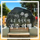 (주)제주색동투어 | [공주 여행] 제주까지 가지 않아도 충분해! 공주 유구색동 수국축제 다녀온 후기
