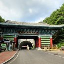 여래로 | [대구근교가볼만한곳] 팔공산 동화사 방문후기/통일약사여래대불