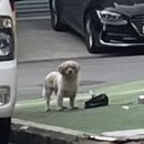 양산택지로 이미지