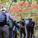 국립공원서 담배 피우면 첫 적발부터 60만원…최대 200만원 이미지