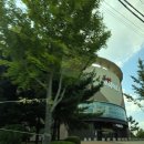 영도세탁소 | 스타필드마켓 경산점 방문후기 ; 영업시간, 주차요금, 입점업체(식당, 카페, 서점)