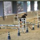 더케어팜 이미지