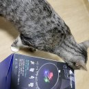 해커랜드 이미지