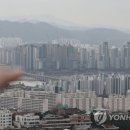 급매 소진됐나…"2월 서울 아파트 5% 이상 하락거래 비중 줄어" 이미지