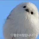 바다뮤직 이미지