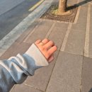 종로 금은방 원골드 커플링 구매 후기 / 30대 커플링 추천