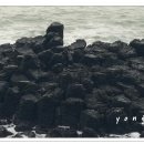 양남주상절리 이미지