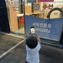 마신 매화반점 이미지