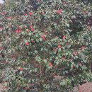 금노마을 이미지