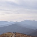 '연부인'이 휴대용 의자 10개를 쾌척했어요 이미지