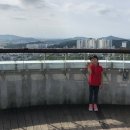 부춘산 유아숲체험원 이미지