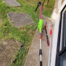 함덕, 수형 | 제주 한달살기 독채 숙소 - 8월 향나무 가지치기 소요비용