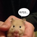 냠냠 - 마포구 모래내로7길 89 | 냠냠