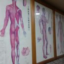 으뜸안마원 이미지