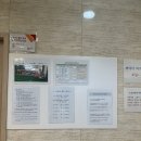 현대야외스크린골프 네이버블로그