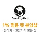 광주강아지분양 고양이분양 도로시펫 이미지