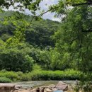 미대동식당 이미지