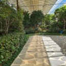 야자수정원 이미지