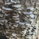 오빠야마트 이미지