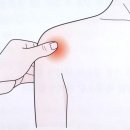 경희보비한의원 이미지